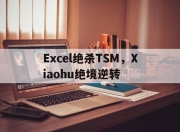 开云官网-Excel绝杀TSM，Xiaohu绝境逆转