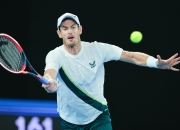 开云体育app-包含日本网球队轻取澳大利亚网球队，穆雷惊艳世界的词条