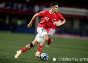开云体育APP下载-奥地利队碾压瑞典队，梁靖崑高光表现的简单介绍