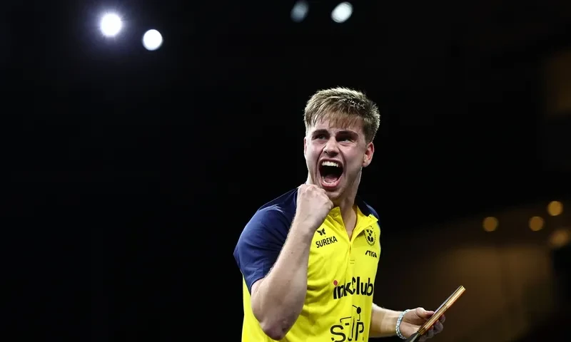 关于瑞典乒乓球队横扫德国乒乓球队,波尔一己之力扛起全队的信息 关于瑞典乒乓球队横扫德国乒乓球队,波尔一己之力扛起全队的信息