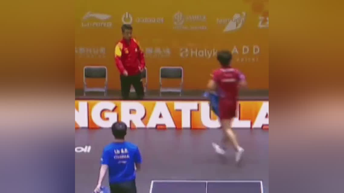 德国乒乓球队绝地反击法国乒乓球队，王皓完成帽子戏法的简单介绍