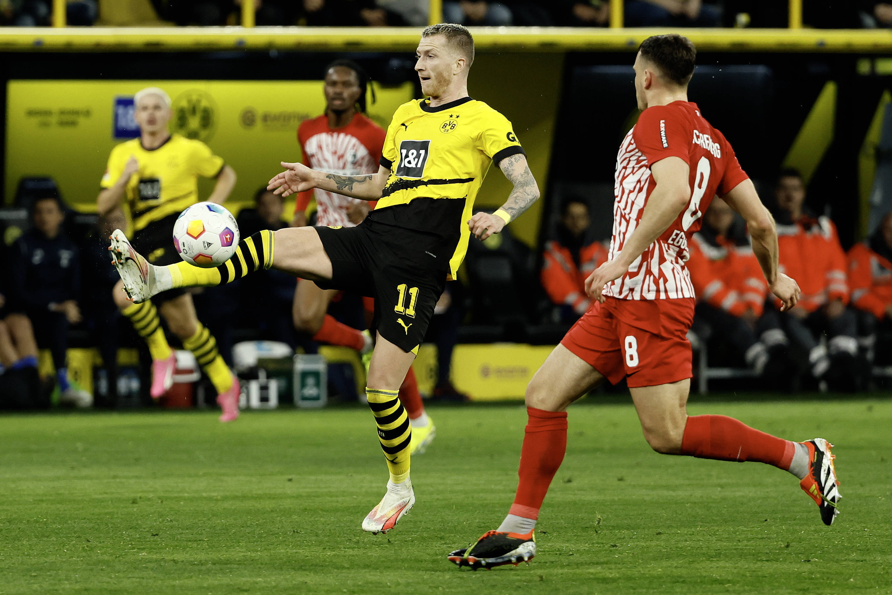 弗赖堡青年队备战国内比赛,雄心勃勃的简单介绍 弗赖堡青年队备战国内比赛,雄心勃勃的简单介绍