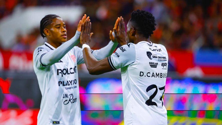 汉堡队主场失利,陷入保级漩涡的简单介绍 汉堡队主场失利,陷入保级漩涡的简单介绍