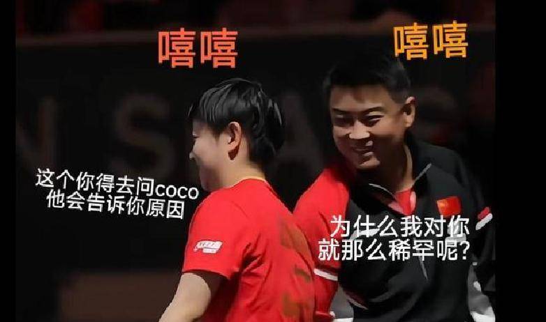 中国队完胜德国队，王皓关键制胜