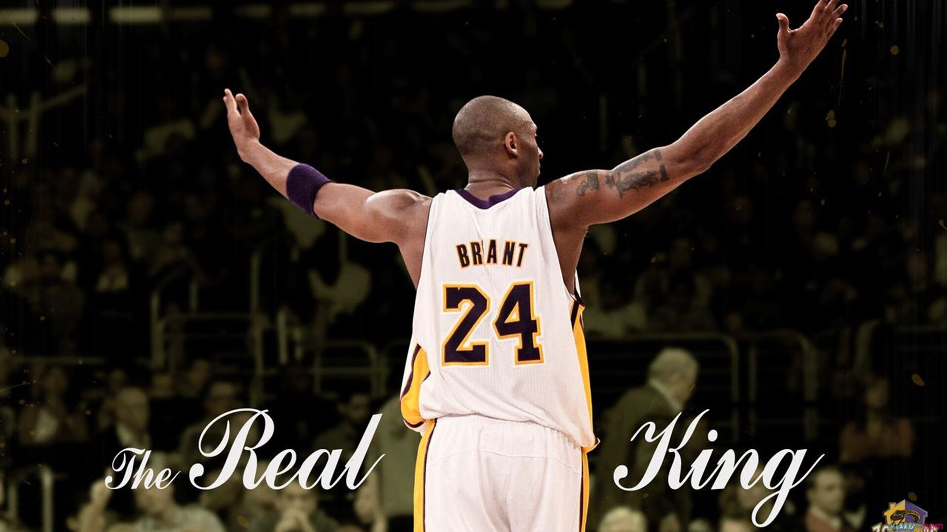 法拉利轻取迈凯伦,维斯塔潘扛起全队,一场策略与意志的胜利